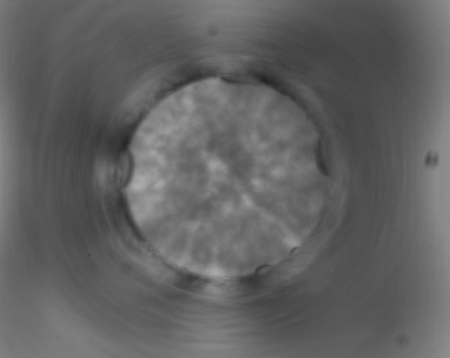 X0000115180720200911251357