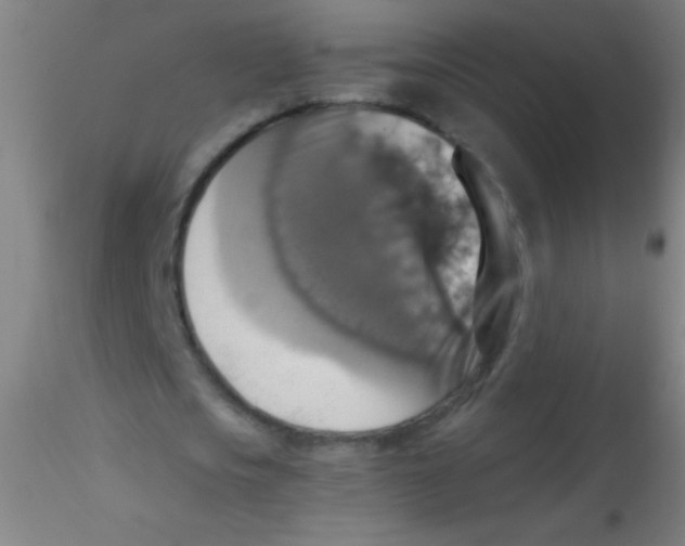 X0000115180721200911251356