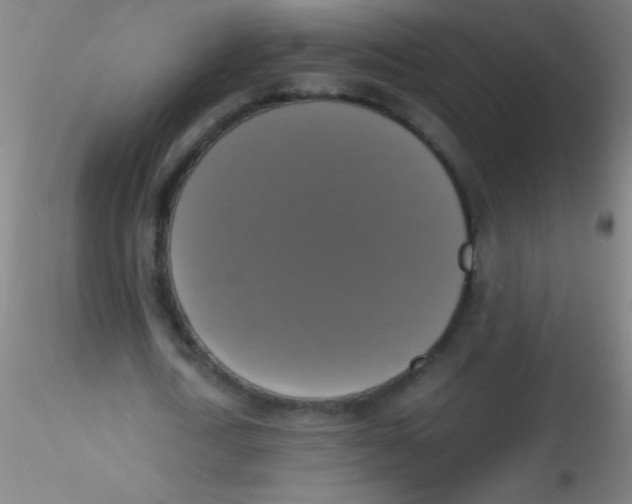 X0000115180722200911251356
