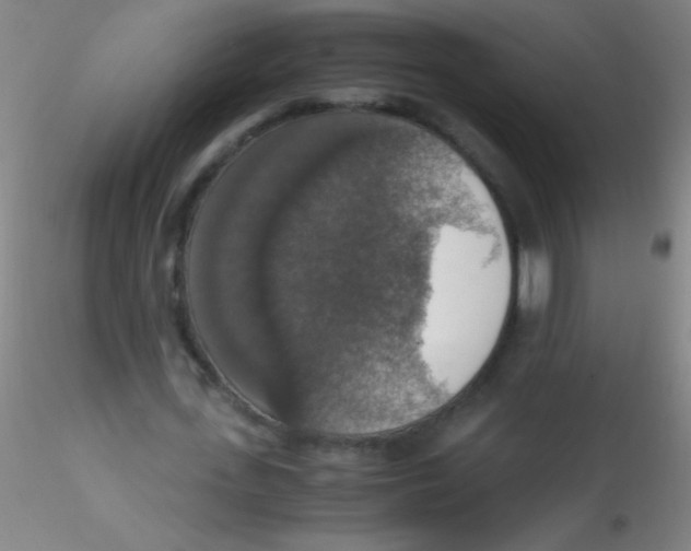X0000115180723200911251356