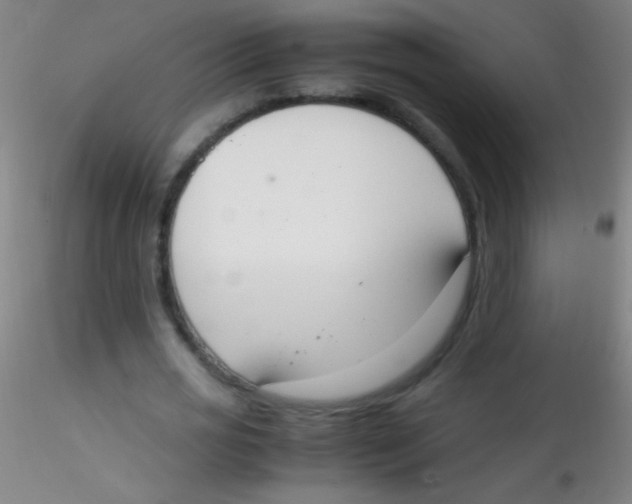 X0000115180725200911251356