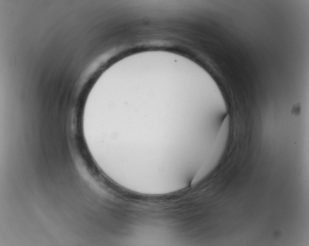 X0000115180726200911251356