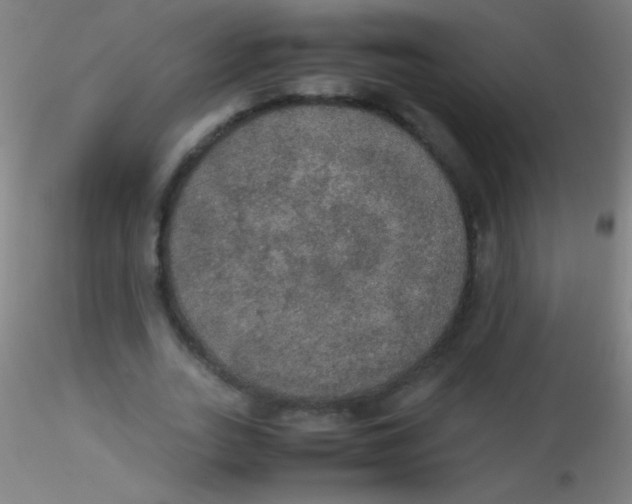 X0000115180727200911251356