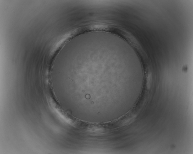 X0000115180729200911251356