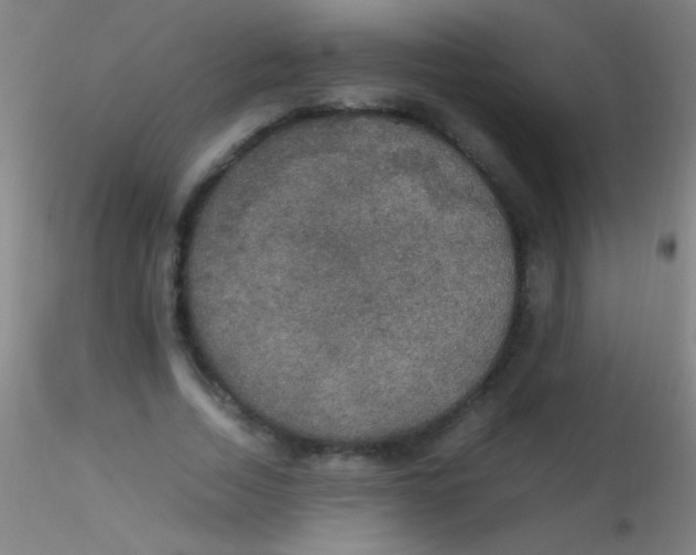X0000115180730200911251356