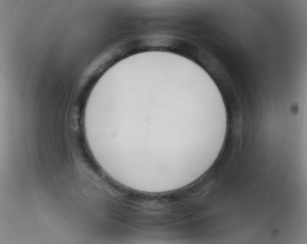 X0000115180731200911251356