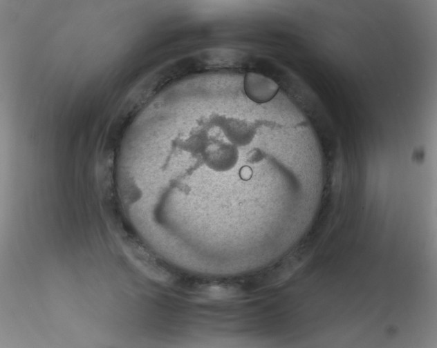 X0000115180737200911251356