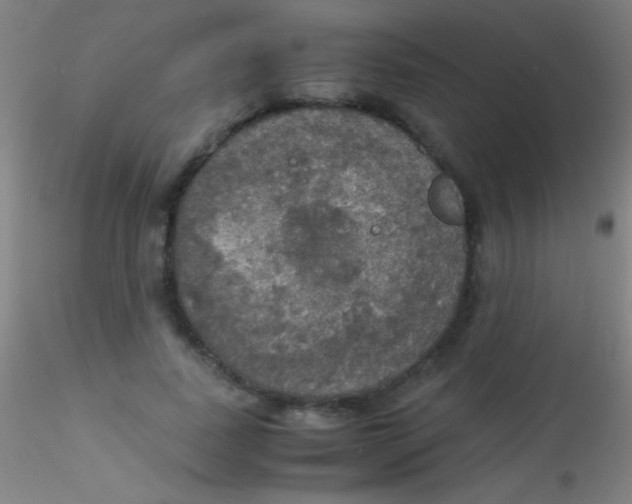 X0000115180739200911251356