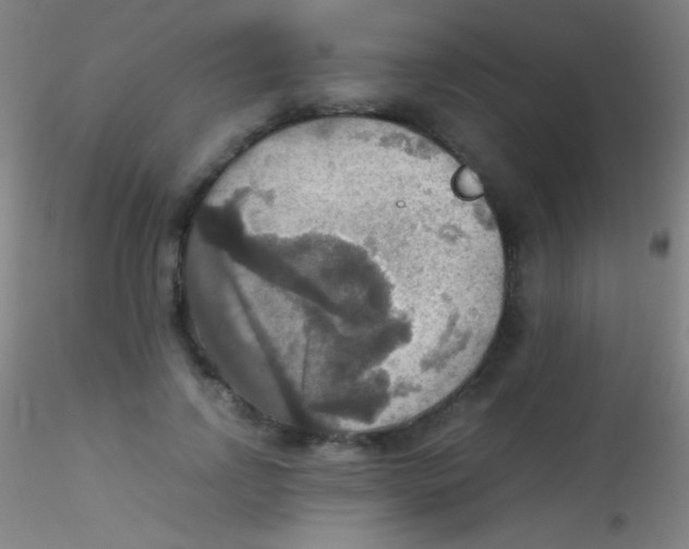 X0000115180742200911251356