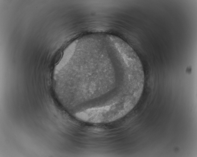 X0000115180743200911251356