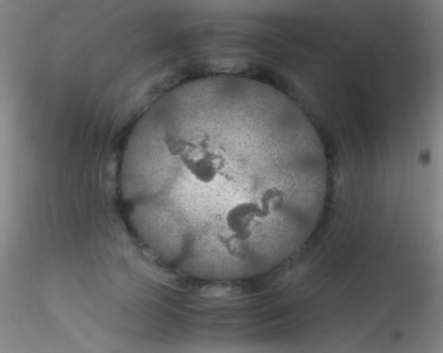 X0000115180745200911251356