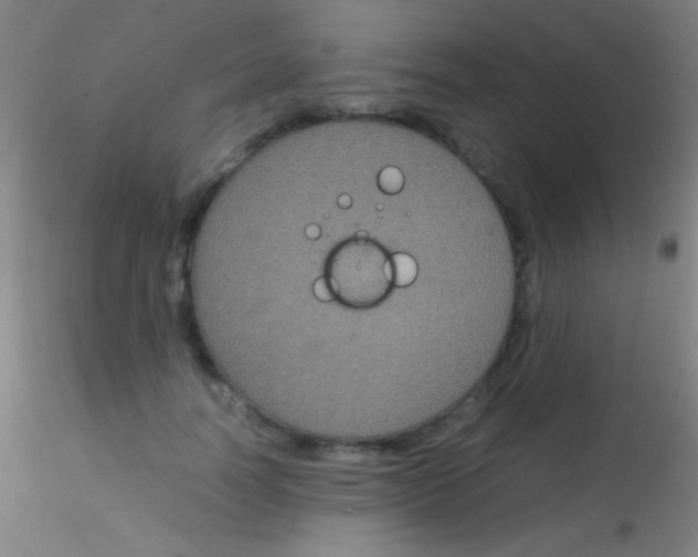 X0000115180746200911251356