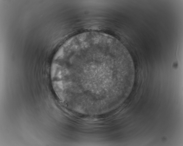 X0000115180747200911251356