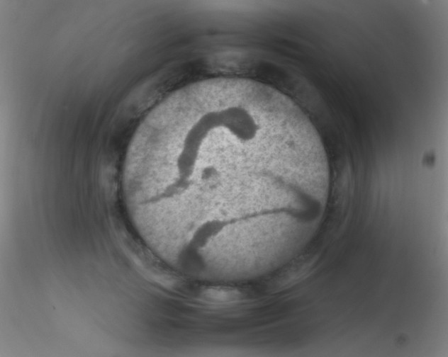 X0000115180749200911251356