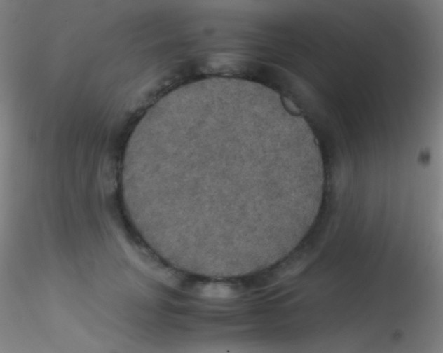X0000115180751200911251356