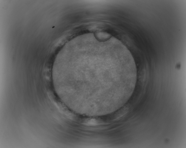 X0000115180755200911251356