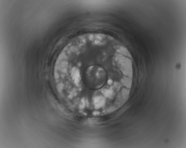 X0000115180758200911251356