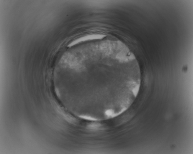 X0000115180759200911251356