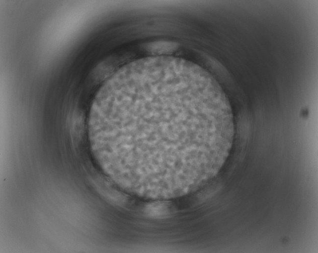 X0000115180761200911251356