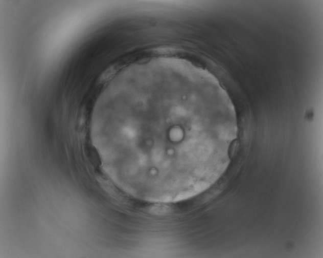X0000115180762200911251356
