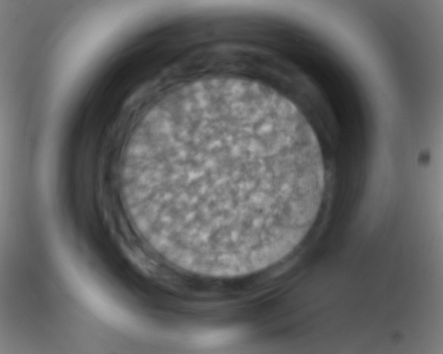 X0000115180765200911251356