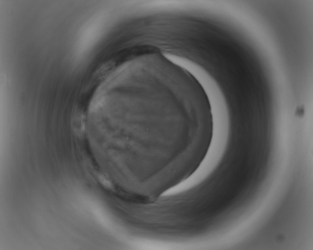 X0000115180766200911251356