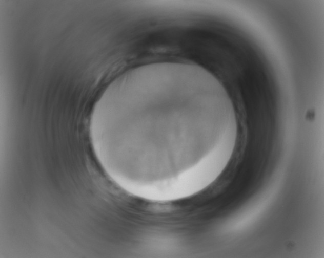 X0000115180767200911251357