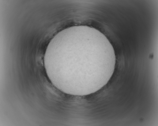 X0000115180770200911251356