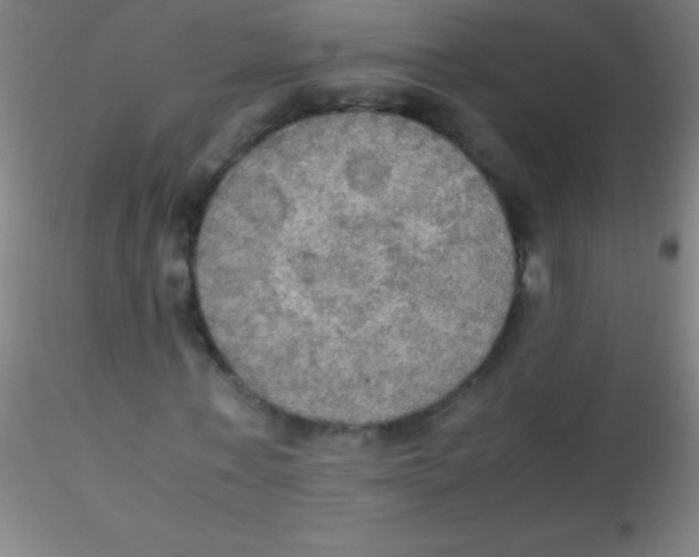 X0000115180771200911251356