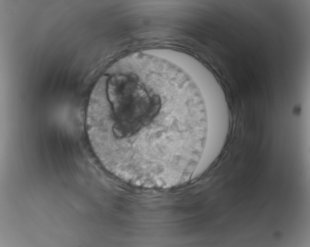 X0000115180772200911251356