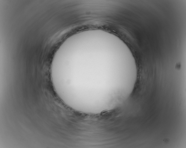 X0000115180773200911251356