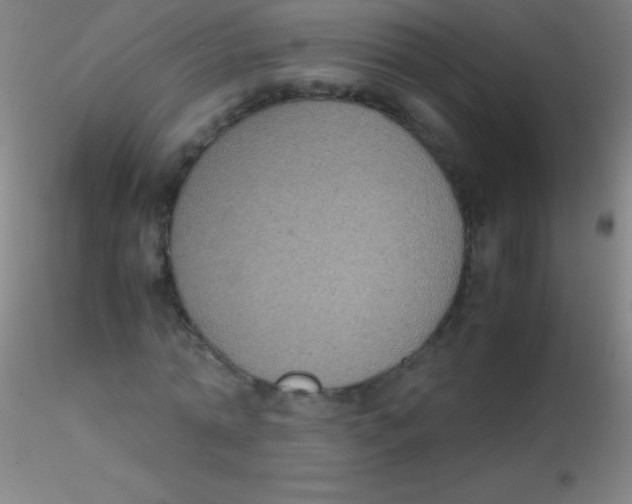 X0000115180774200911251356
