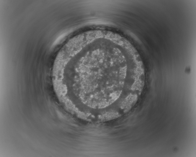 X0000115180775200911251356