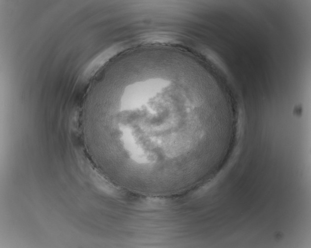 X0000115180777200911251356
