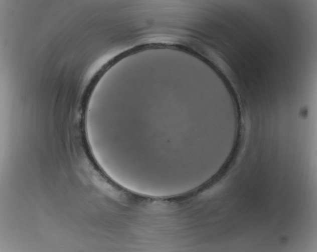 X0000115180779200911251356