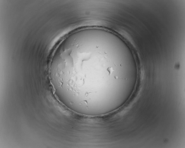 X0000115180781200911251356