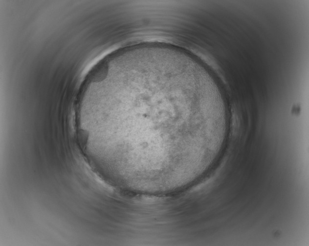 X0000115180782200911251356