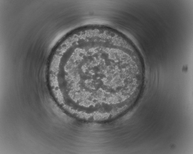 X0000115180783200911251355