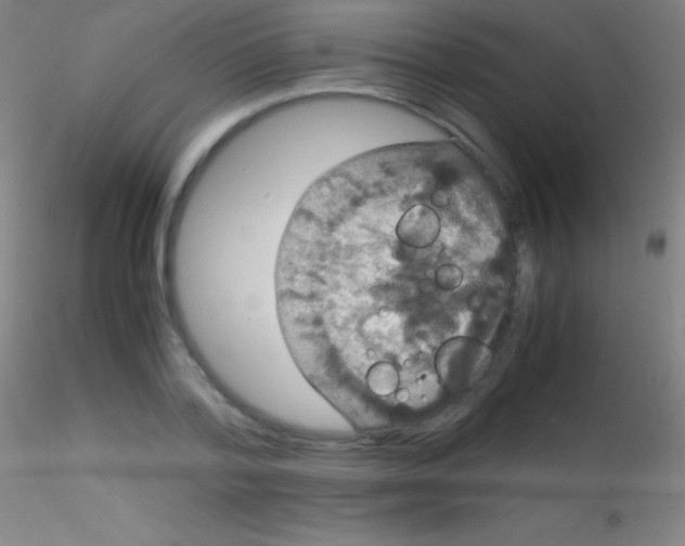 X0000115180788200911251355