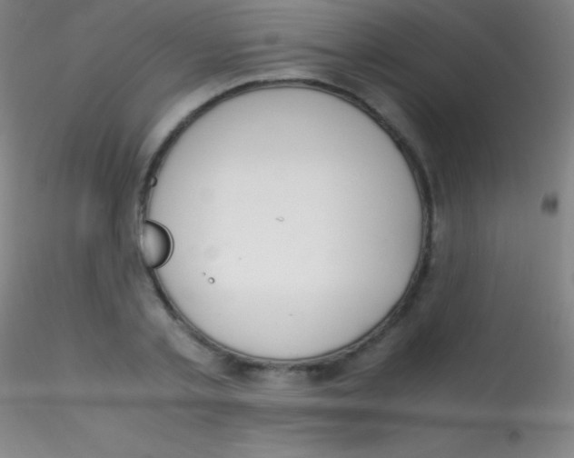 X0000115180789200911251355