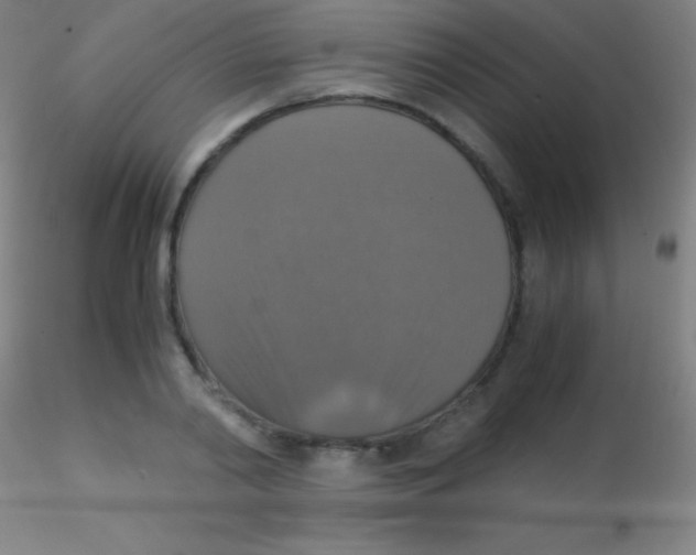 X0000115180790200911251355
