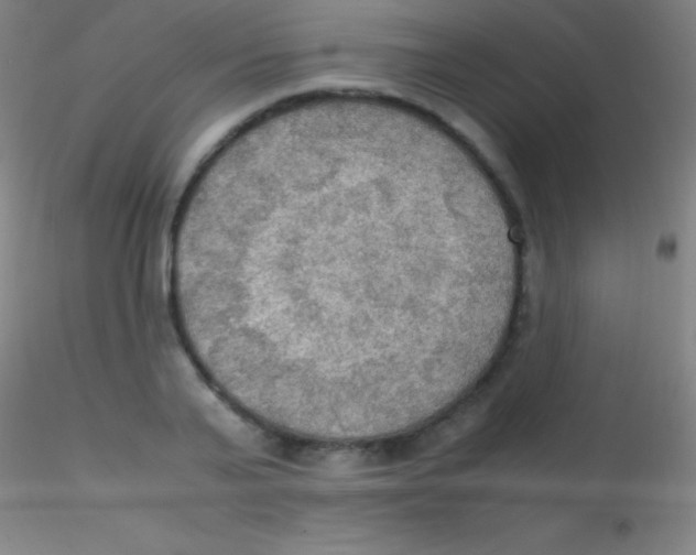 X0000115180791200911251355