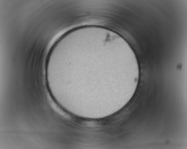 X0000115180792200911251355