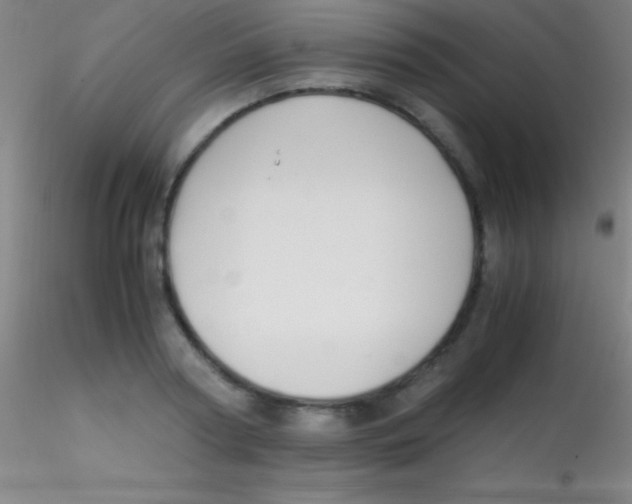 X0000115180794200911251355