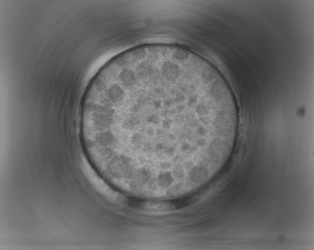 X0000115180795200911251355