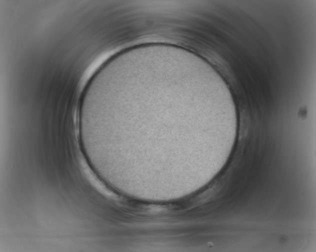 X0000115180796200911251355