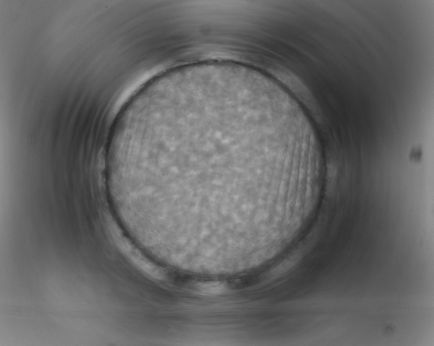 X0000115180798200911251355