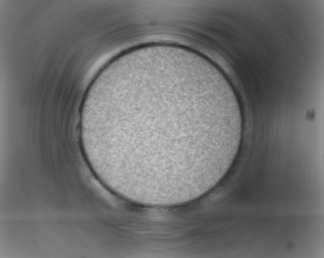 X0000115180799200911251355