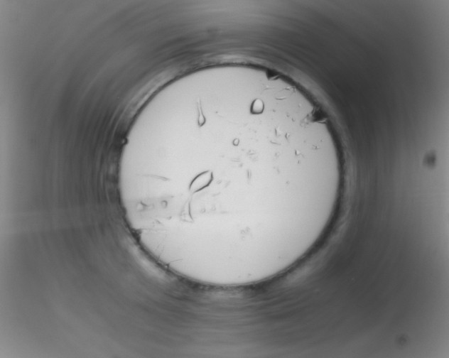 X0000115180801200911251355