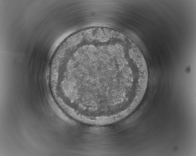 X0000115180804200911251355